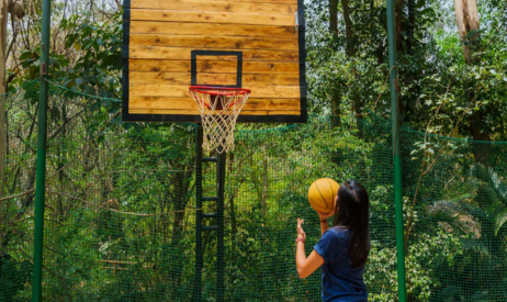 Basketball