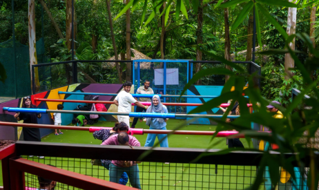 Human Foosball