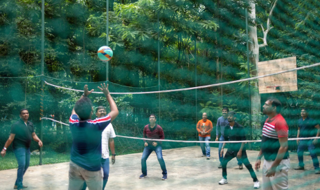 Volleyball
